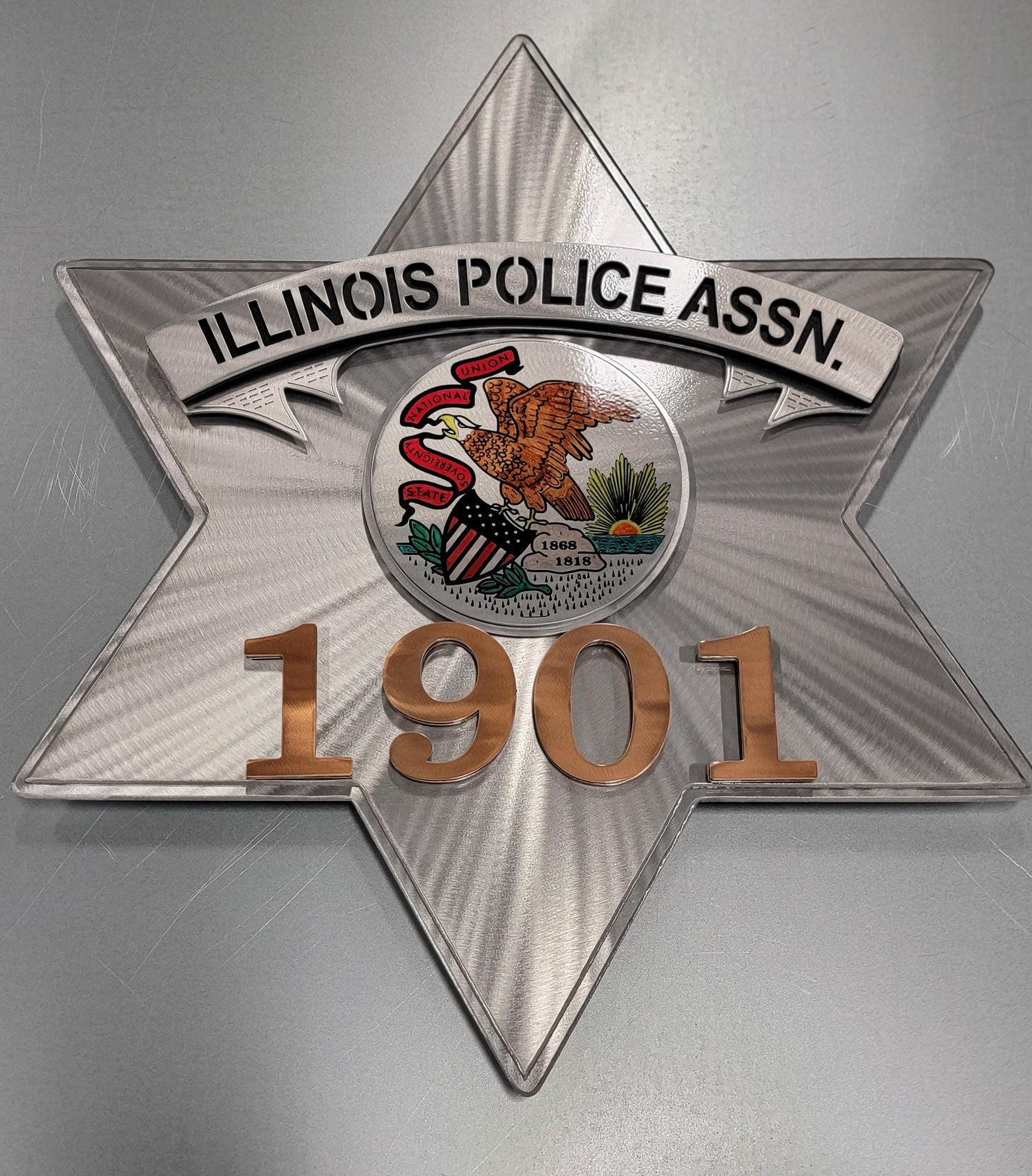 Illinois Police Star