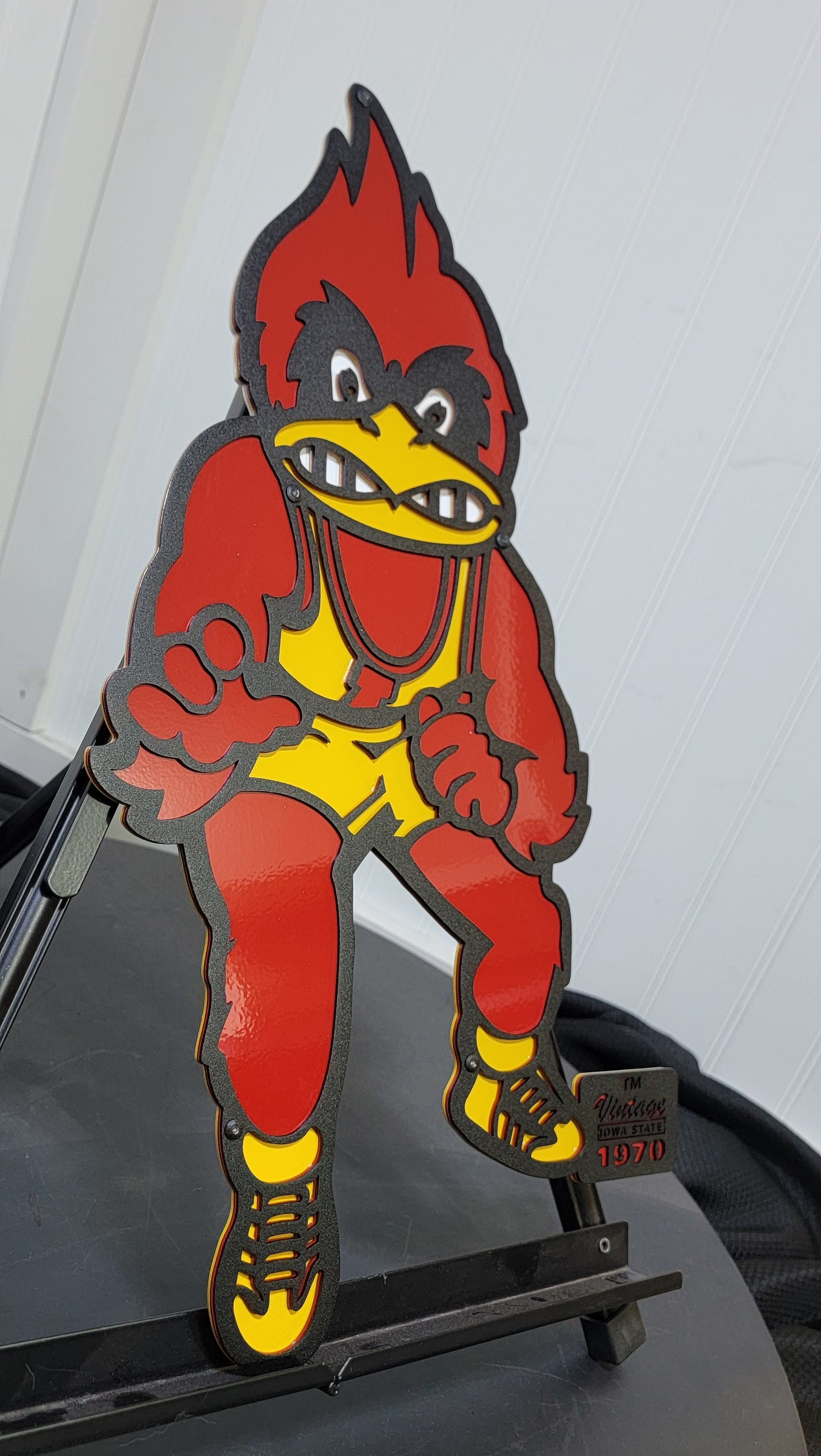 Iowa State Cyclones Vintage CY Wrestler Dorm Room Size
