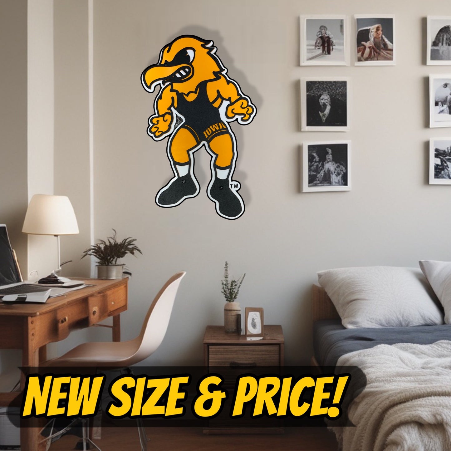 Iowa Hawkeye Vintage Wrestling Herky Dorm Room Size New Wall Art