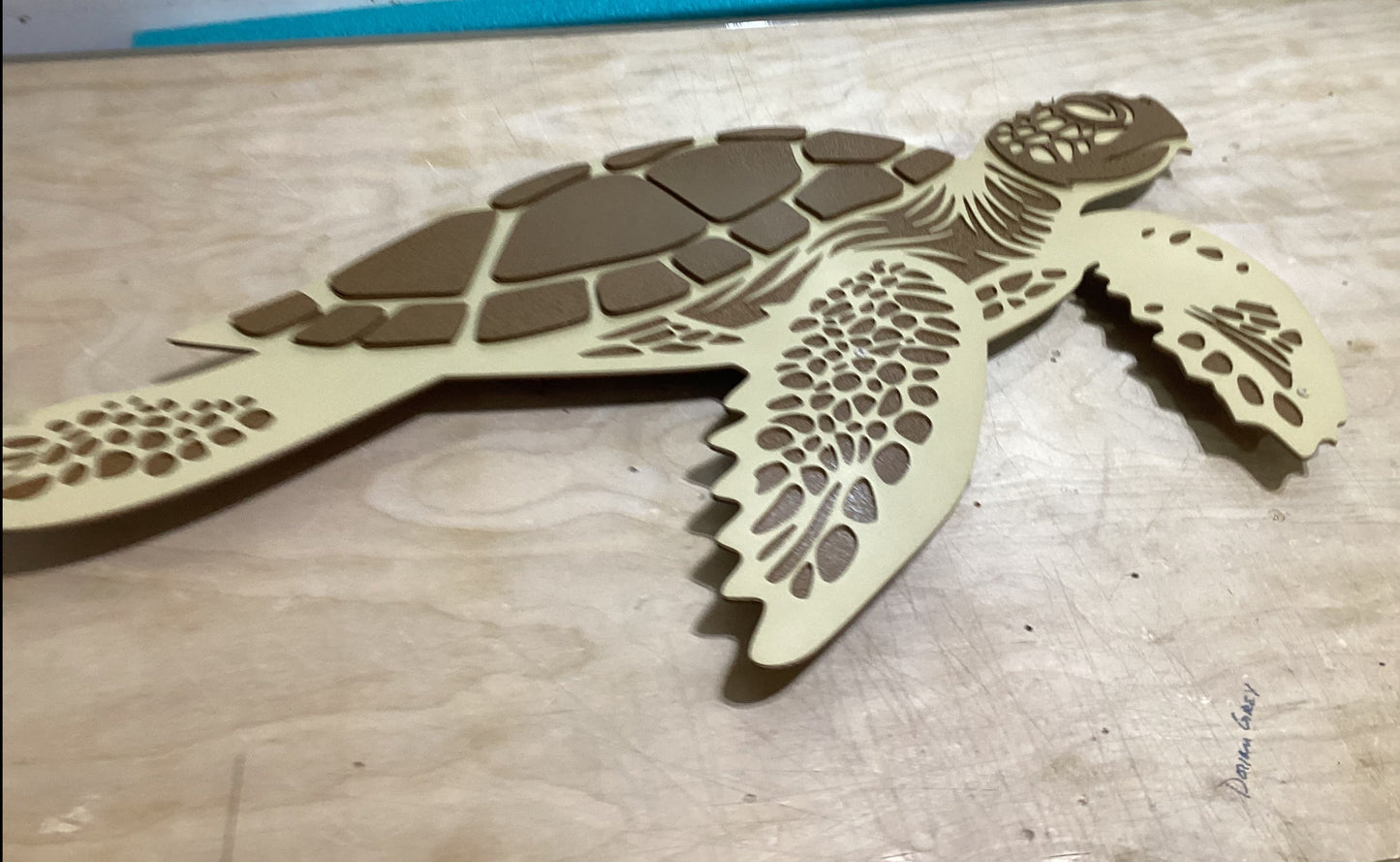 Sea Turtle