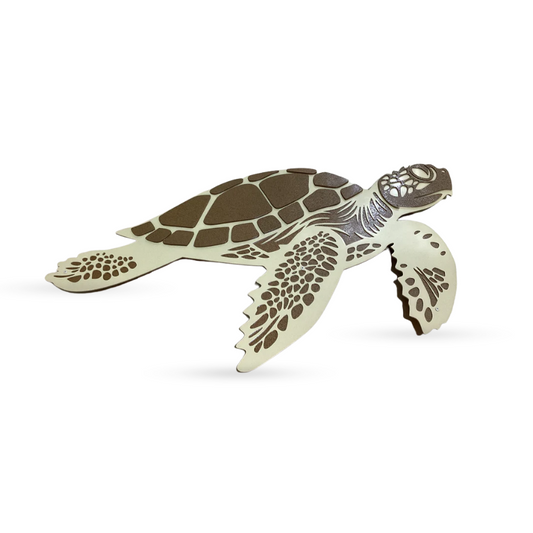 Sea Turtle