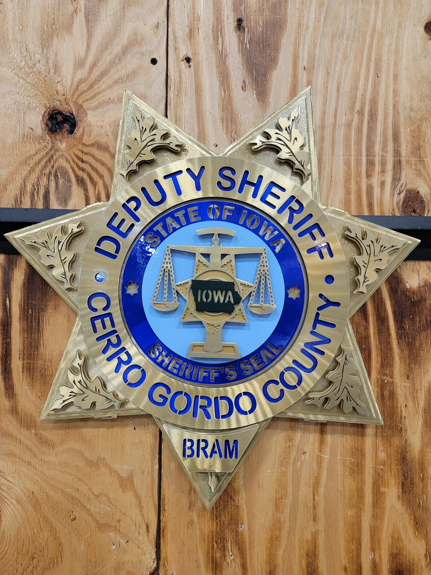 Cerro Gordo County Deputy Sheriff Star