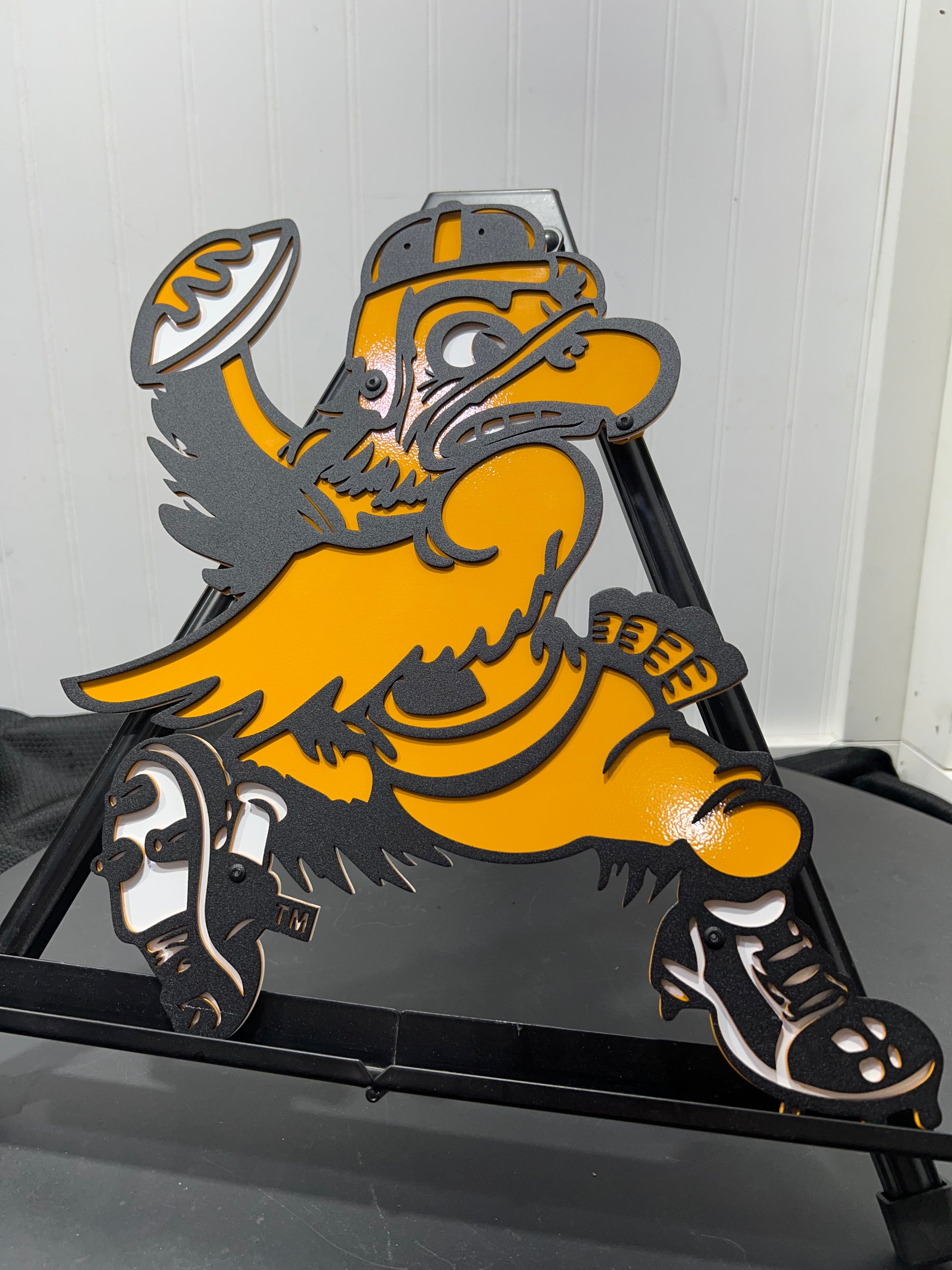 Vintage Iowa Hawkeyes Football Dorm Room 