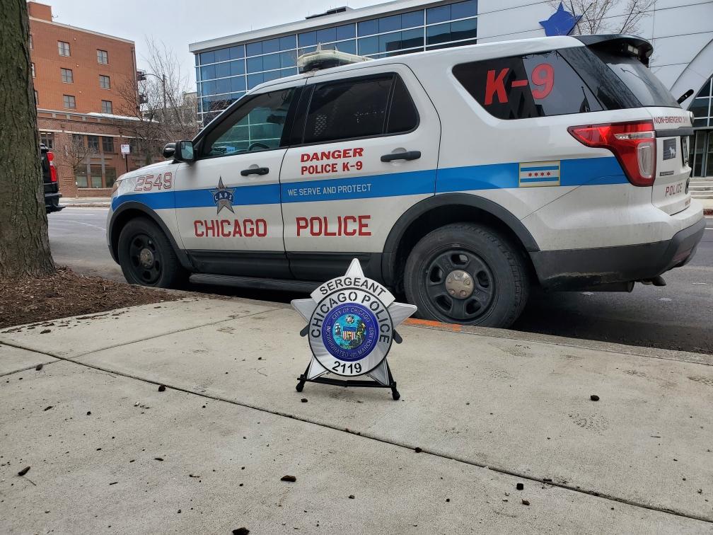Chicago Police Star Badge