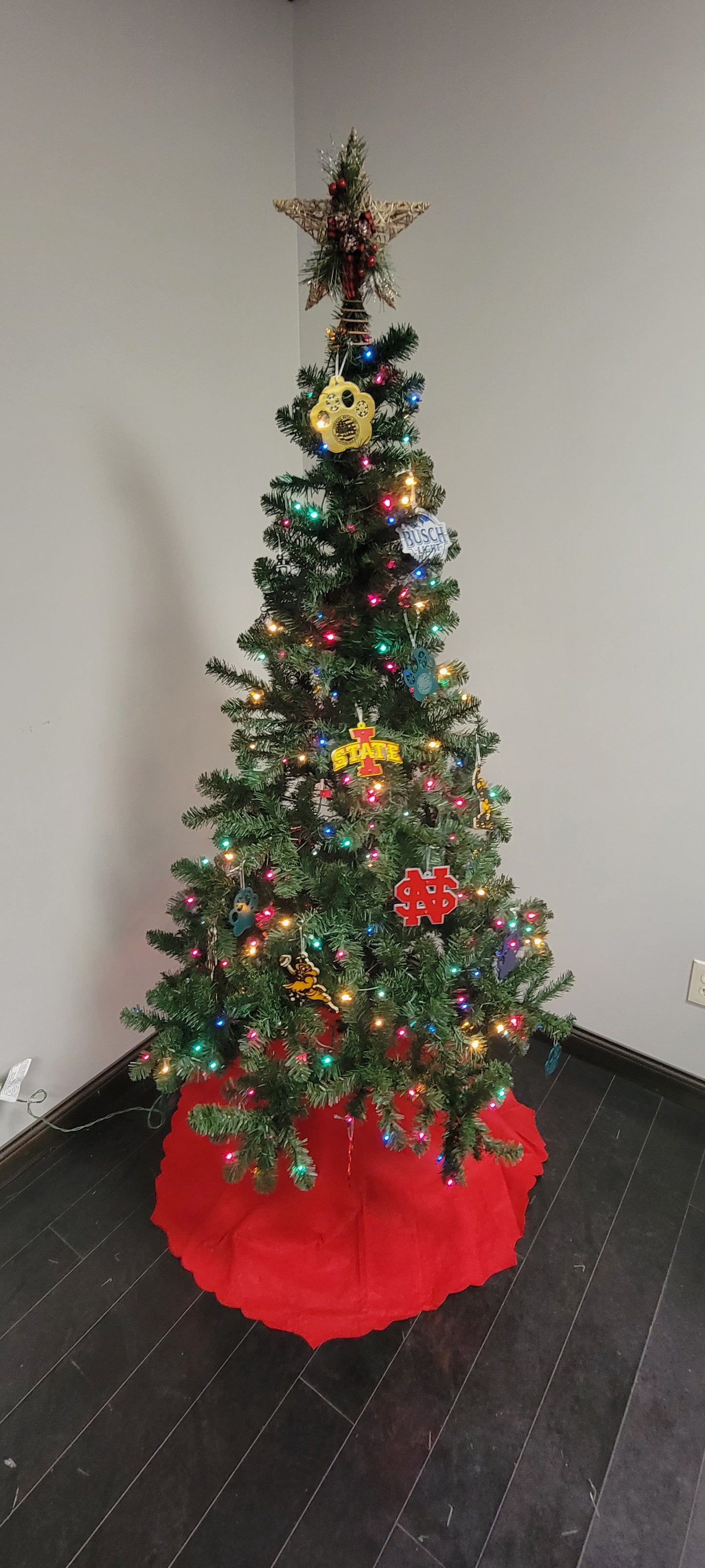 North Scott School District Ornament/Magnet